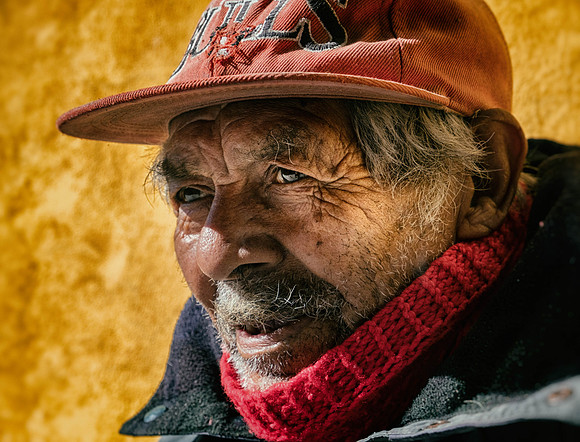 Bulls Cap