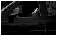 Asleep at the Wheel