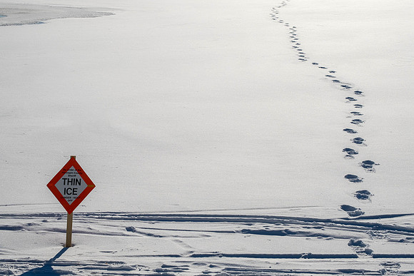 Tracks in Snow